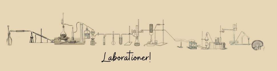 Labb för mer förståelse